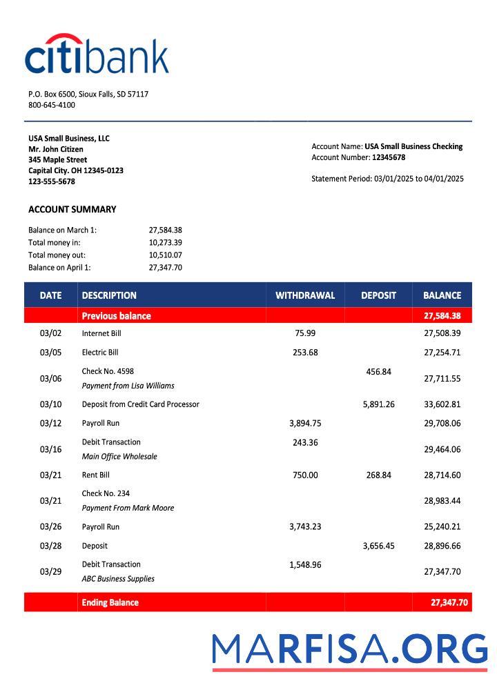 Downloadable USA Citibank organization statement Word and PDF template